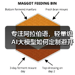 专注阿拉伯语，轻量级AI大模型如何定制避开行业竞争？（图3）