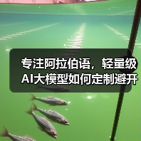 专注阿拉伯语，轻量级AI大模型如何定制避开行业竞争？（图4）