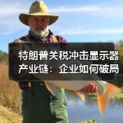 特朗普关税冲击显示器产业链:企业如何破局?(图2) 特朗普关税冲击显示器产业链:企业如何破局?(图2)
