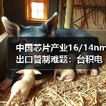 中国芯片产业16/14nm出口管制难题:台积电断供影响几何?(图4) 中国芯片产业16/14nm出口管制难题:台积电断供影响几何?(图4)