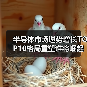 半导体市场逆势增长TOP10格局重塑谁将崛起?(图1) 半导体市场逆势增长TOP10格局重塑谁将崛起?(图1)