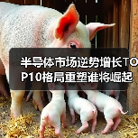 半导体市场逆势增长TOP10格局重塑谁将崛起?(图4) 半导体市场逆势增长TOP10格局重塑谁将崛起?(图4)