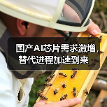 国产AI芯片需求激增，替代进程加速到来（图2）