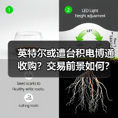 英特尔或遭台积电博通收购?交易前景如何?(图2) 英特尔或遭台积电博通收购?交易前景如何?(图2)