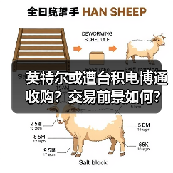 英特尔或遭台积电博通收购?交易前景如何?(图3) 英特尔或遭台积电博通收购?交易前景如何?(图3)