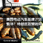 美国电动汽车基建计划暂停?特朗普政策转向引行业震荡(图1) 美国电动汽车基建计划暂停?特朗普政策转向引行业震荡(图1)