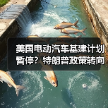 美国电动汽车基建计划暂停?特朗普政策转向引行业震荡(图3) 美国电动汽车基建计划暂停?特朗普政策转向引行业震荡(图3)