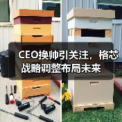 CEO换帅引关注,格芯战略调整布局未来(图1) CEO换帅引关注,格芯战略调整布局未来(图1)