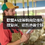 欧盟AI政策转向助推科技复兴,能否逆袭全球?(图3) 欧盟AI政策转向助推科技复兴,能否逆袭全球?(图3)