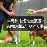 半导体市场谁主沉浮?AI需求推动TOP10排名剧变(图3) 半导体市场谁主沉浮?AI需求推动TOP10排名剧变(图3)