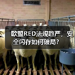 欧盟RED法规趋严,安全闪存如何破局?(图1) 欧盟RED法规趋严,安全闪存如何破局?(图1)
