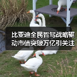 比亚迪全民智驾战略驱动市值突破万亿引关注(图2) 比亚迪全民智驾战略驱动市值突破万亿引关注(图2)