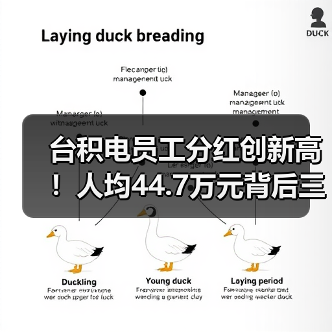 台积电员工分红创新高!人均44.7万元背后三大原因解析(图2) 台积电员工分红创新高!人均44.7万元背后三大原因解析(图2)