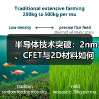 半导体技术突破:2nm、CFET与2D材料如何破解算力瓶颈?(图2) 半导体技术突破:2nm、CFET与2D材料如何破解算力瓶颈?(图2)