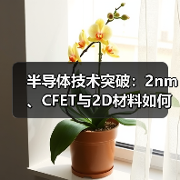 半导体技术突破:2nm、CFET与2D材料如何破解算力瓶颈?(图4) 半导体技术突破:2nm、CFET与2D材料如何破解算力瓶颈?(图4)