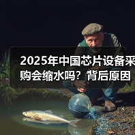 2025年中国芯片设备采购会缩水吗?背后原因分析(图3) 2025年中国芯片设备采购会缩水吗?背后原因分析(图3)