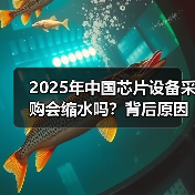 2025年中国芯片设备采购会缩水吗?背后原因分析(图4) 2025年中国芯片设备采购会缩水吗?背后原因分析(图4)
