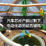 汽车芯片产能过剩下,电动化趋势能否破局?(图1) 汽车芯片产能过剩下,电动化趋势能否破局?(图1)