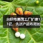 台积电美国工厂扩建171亿,先进产能布局如何加速?(图3) 台积电美国工厂扩建171亿,先进产能布局如何加速?(图3)