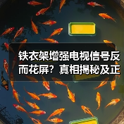 铁衣架增强电视信号反而花屏?真相揭秘及正确方法(图2) 铁衣架增强电视信号反而花屏?真相揭秘及正确方法(图2)