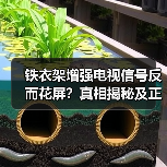 铁衣架增强电视信号反而花屏?真相揭秘及正确方法(图4) 铁衣架增强电视信号反而花屏?真相揭秘及正确方法(图4)