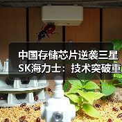中国存储芯片逆袭三星SK海力士:技术突破重塑行业格局(图2) 中国存储芯片逆袭三星SK海力士:技术突破重塑行业格局(图2)