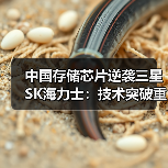 中国存储芯片逆袭三星SK海力士:技术突破重塑行业格局(图3) 中国存储芯片逆袭三星SK海力士:技术突破重塑行业格局(图3)