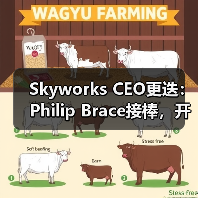Skyworks CEO更迭:Philip Brace接棒,开启技术转型新时代(图4) Skyworks CEO更迭:Philip Brace接棒,开启技术转型新时代(图4)