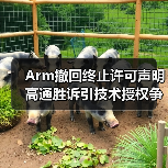 Arm撤回终止许可声明 高通胜诉引技术授权争议(图1) Arm撤回终止许可声明 高通胜诉引技术授权争议(图1)