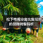 松下电视业务出售背后的战略转型解析(图3) 松下电视业务出售背后的战略转型解析(图3)