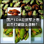 国产EDA迎新军上市，能否打破巨头垄断？（图1）