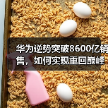 华为逆势突破8600亿销售,如何实现重回巅峰?(图2) 华为逆势突破8600亿销售,如何实现重回巅峰?(图2)