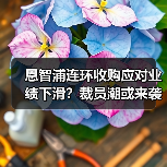 恩智浦连环收购应对业绩下滑?裁员潮或来袭(图4) 恩智浦连环收购应对业绩下滑?裁员潮或来袭(图4)
