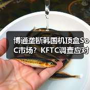 博通垄断韩国机顶盒SoC市场?KFTC调查应对策略(图2) 博通垄断韩国机顶盒SoC市场?KFTC调查应对策略(图2)