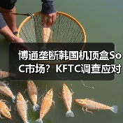 博通垄断韩国机顶盒SoC市场?KFTC调查应对策略(图3) 博通垄断韩国机顶盒SoC市场?KFTC调查应对策略(图3)