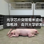 光学芯片突破毫米波成像瓶颈,南开大学研发高灵敏度探测技术(图1) 光学芯片突破毫米波成像瓶颈,南开大学研发高灵敏度探测技术(图1)