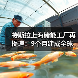 特斯拉上海储能工厂再提速:9个月建成全球瞩目(图1) 特斯拉上海储能工厂再提速:9个月建成全球瞩目(图1)