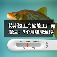 特斯拉上海储能工厂再提速:9个月建成全球瞩目(图3) 特斯拉上海储能工厂再提速:9个月建成全球瞩目(图3)