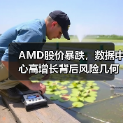 AMD股价暴跌,数据中心高增长背后风险几何?(图1) AMD股价暴跌,数据中心高增长背后风险几何?(图1)