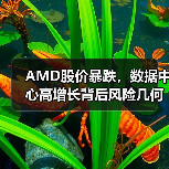 AMD股价暴跌,数据中心高增长背后风险几何?(图3) AMD股价暴跌,数据中心高增长背后风险几何?(图3)