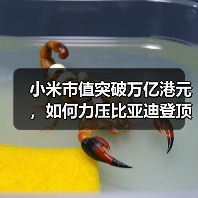 小米市值突破万亿港元,如何力压比亚迪登顶车企前三?(图2) 小米市值突破万亿港元,如何力压比亚迪登顶车企前三?(图2)