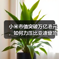 小米市值突破万亿港元,如何力压比亚迪登顶车企前三?(图4) 小米市值突破万亿港元,如何力压比亚迪登顶车企前三?(图4)