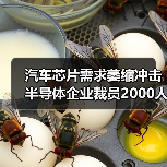 汽车芯片需求萎缩冲击半导体企业裁员2000人?(图2) 汽车芯片需求萎缩冲击半导体企业裁员2000人?(图2)