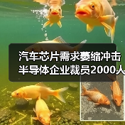 汽车芯片需求萎缩冲击半导体企业裁员2000人?(图3) 汽车芯片需求萎缩冲击半导体企业裁员2000人?(图3)