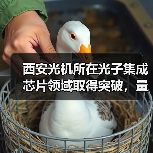 西安光机所在光子集成芯片领域取得突破，量子通信技术迈入新阶段（图1）