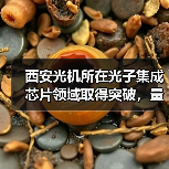 西安光机所在光子集成芯片领域取得突破，量子通信技术迈入新阶段（图4）