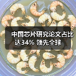 中国芯片研究论文占比达34% 领先全球(图4) 中国芯片研究论文占比达34% 领先全球(图4)