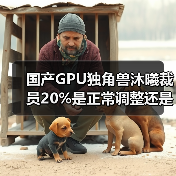 国产GPU独角兽沐曦裁员20%是正常调整还是为上市?(图2) 国产GPU独角兽沐曦裁员20%是正常调整还是为上市?(图2)