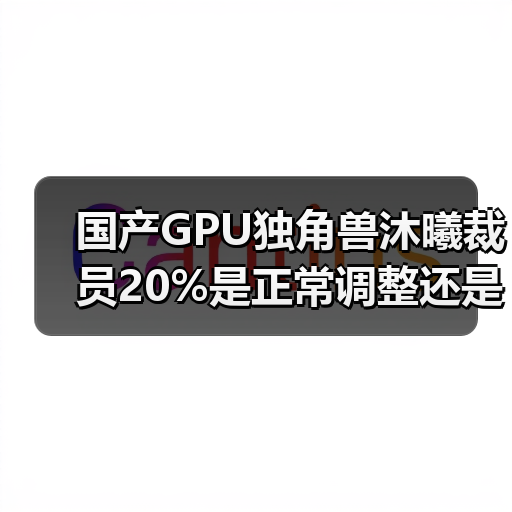 国产GPU独角兽沐曦裁员20%是正常调整还是为上市?(图4) 国产GPU独角兽沐曦裁员20%是正常调整还是为上市?(图4)