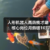 人形机器人高薪揽才潮:核心岗位月薪破10万引行业争夺战(图2) 人形机器人高薪揽才潮:核心岗位月薪破10万引行业争夺战(图2)